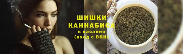 гидропоника Бугульма