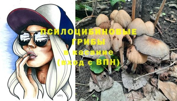 гидропоника Бугульма