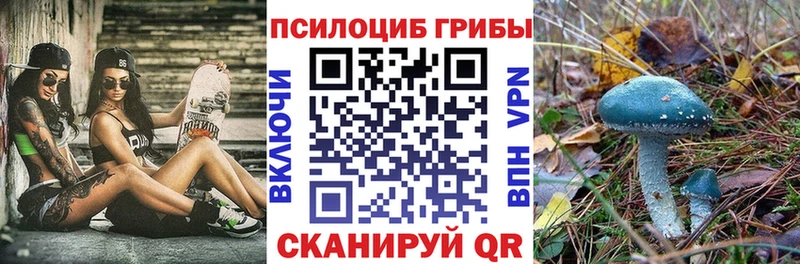 Псилоцибиновые грибы GOLDEN TEACHER  Арзамас 